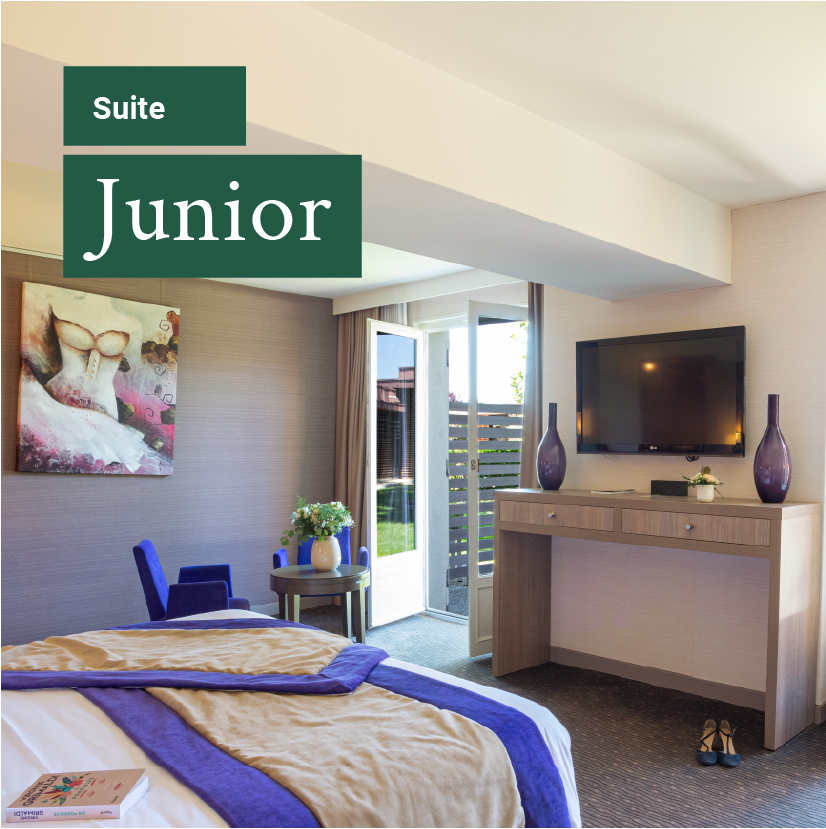 Suite Junior Hôtel La Charpinière, Saint-Galmier