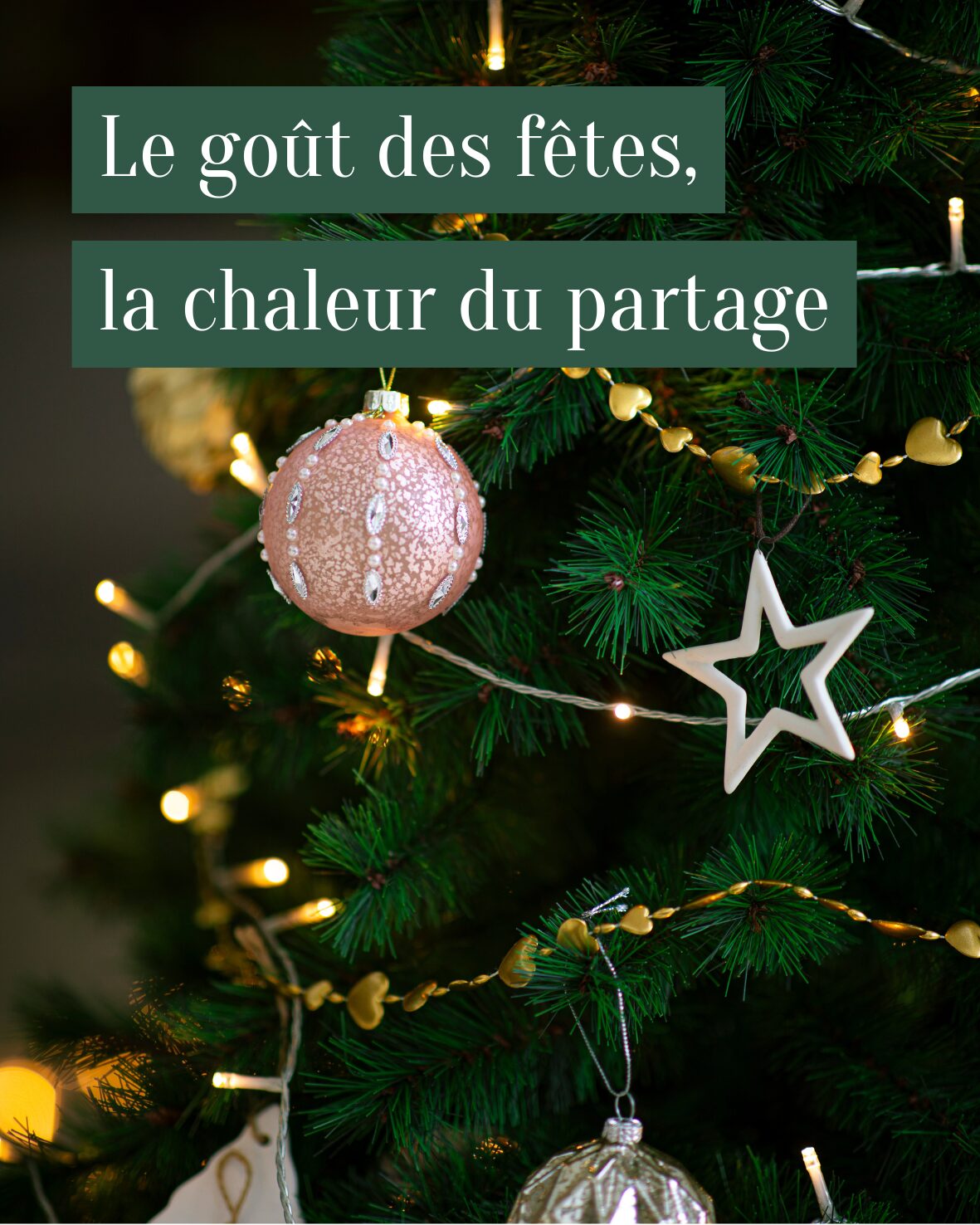 Design sans titre (3) Padel la charpiniere, saint -galmier