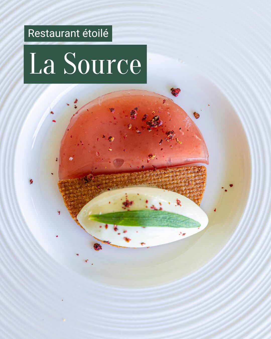 Restaurant étoilé la Source st galmier
